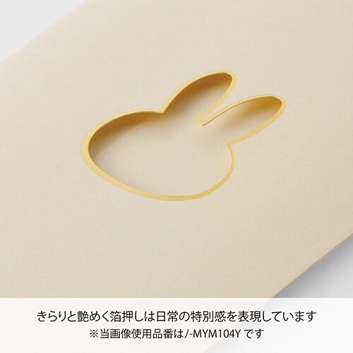 窓のし袋 カラーミッフィー字なし×10