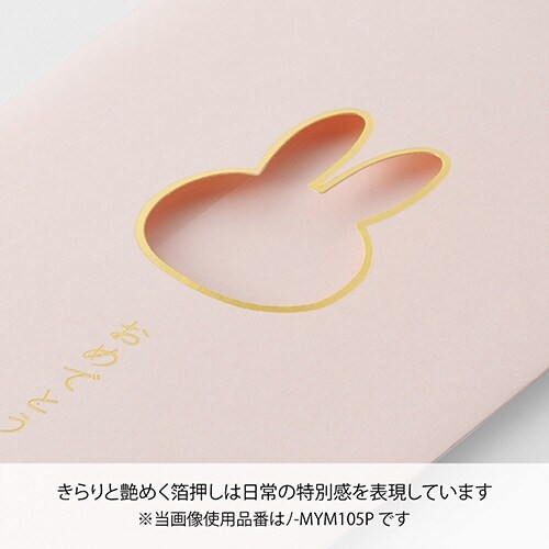 窓のし袋 カラーミッフィーおめでとう×10