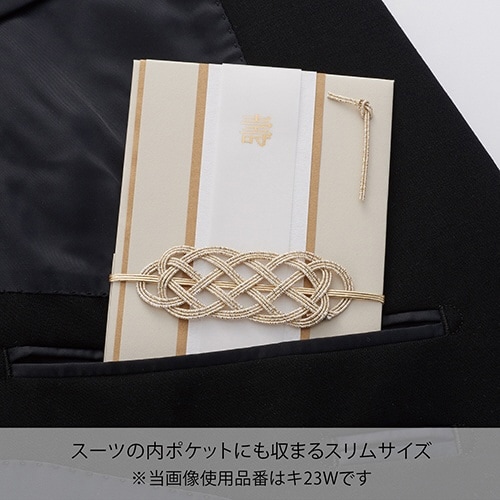 メンズスリム金封 ネイビー×5