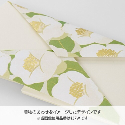 あわせ金封 白椿×5