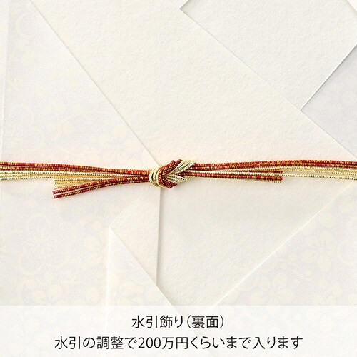 しろたえ 花結び 大金×5