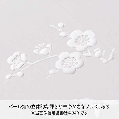 まどか 金封 赤×5
