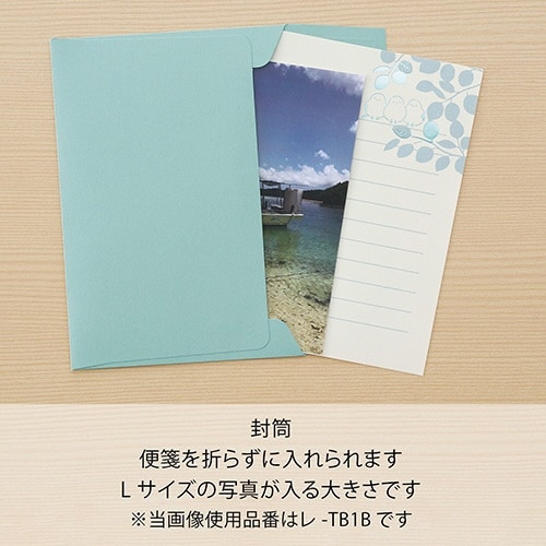 お手紙文庫レターセット 昼の木漏れ日×5