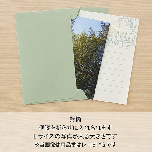 お手紙文庫レターセット 朝の陽だまり×5