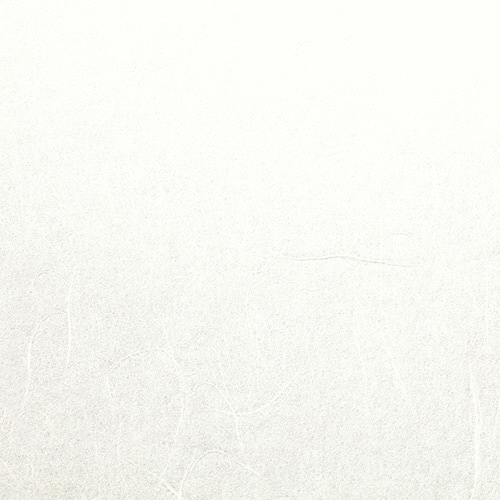 OA用紙 和紙 雲竜 白×10