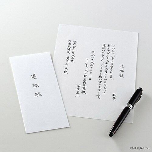 退職願専用 便箋・封筒セット×10