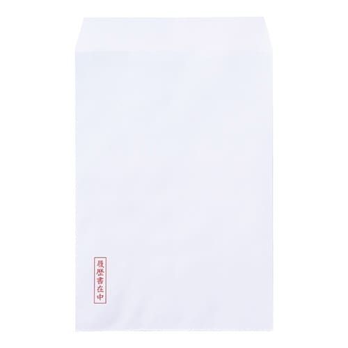 履歴書用紙 A4N×10