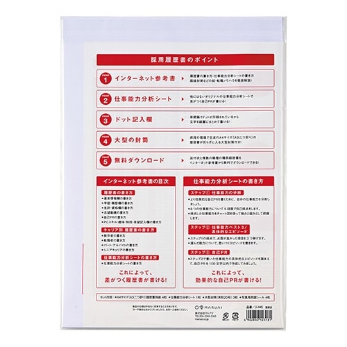 採用履歴書 A4×10