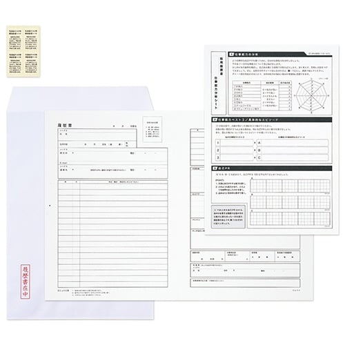 採用履歴書 A4×10