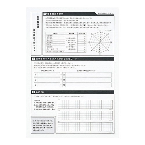 採用履歴書 A4×10