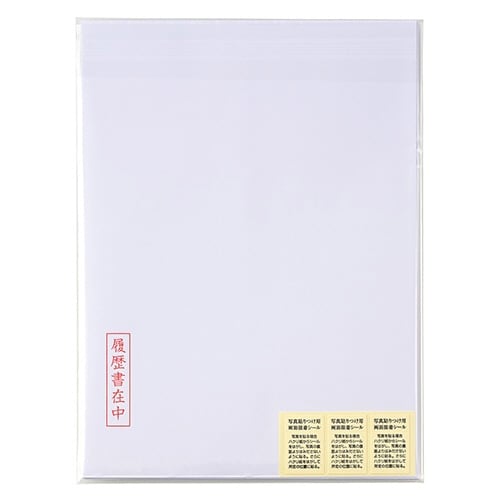 履歴書用紙 B5N×10