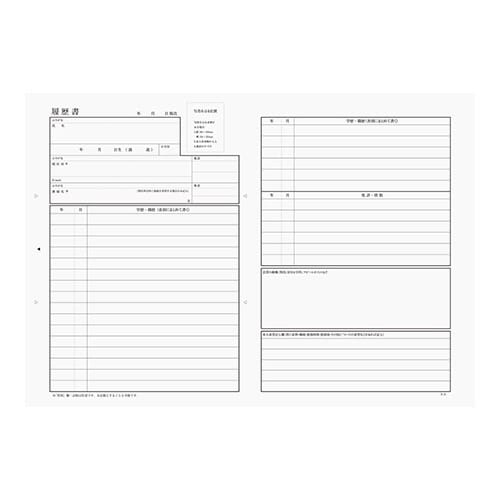履歴書用紙 B5N×10