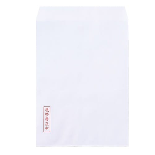 履歴書用紙 B5N×10