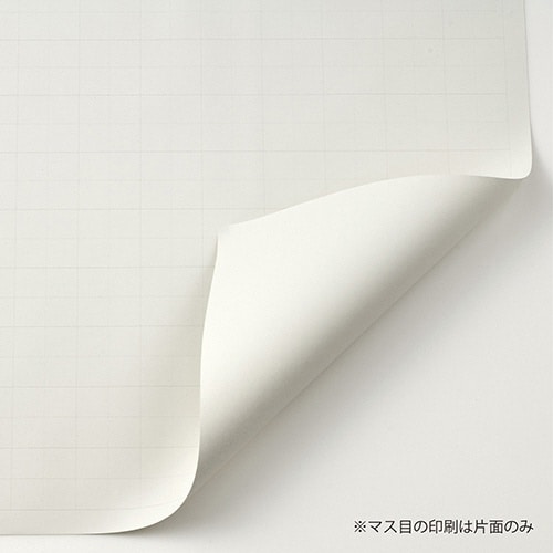 マス目模造紙 白 50枚