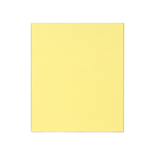 色紙画仙 S2(小)×25