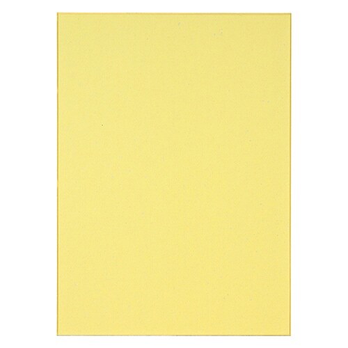 藤壺色紙 画仙 F4×10