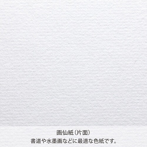 藤壺色紙 画仙 F4×10