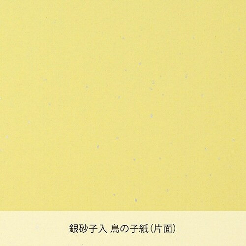 藤壺色紙 画仙 F4×10