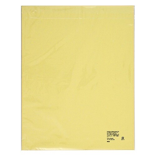 藤壺色紙 画仙 F6×10