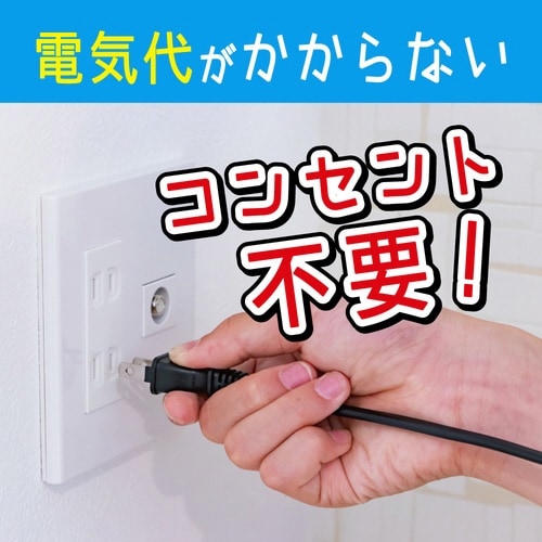 虫コナーズP 250日玄関+シンカトリ200日ペア