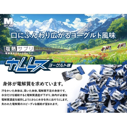 塩熱サプリカムレス業務用ヨーグルト120粒×3