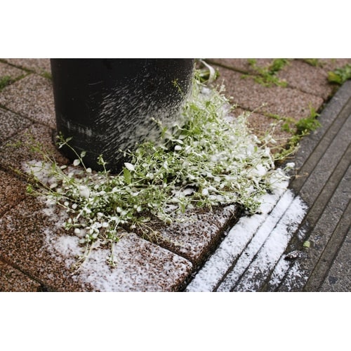 蓄圧式発泡スプレー 除草剤用