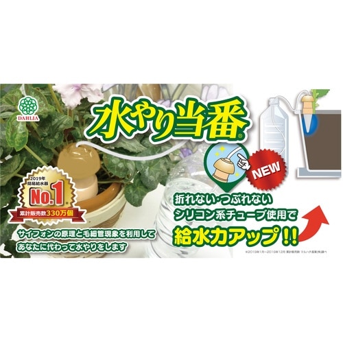 水やり当番M