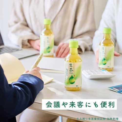 生茶 ほうじ煎茶 280ml 24本×2