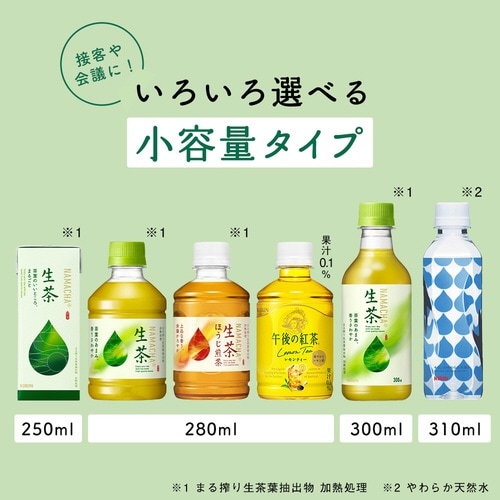 生茶 ほうじ煎茶 280ml 24本×2
