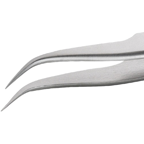 先端幅0.3mm 全長120mm ステン