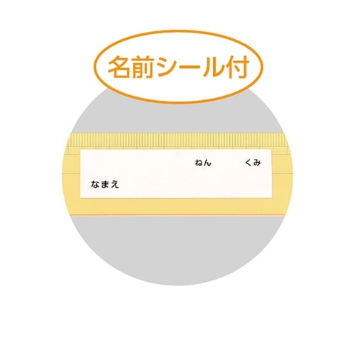 プラ製ものさし 30cm 片目盛り みぞ