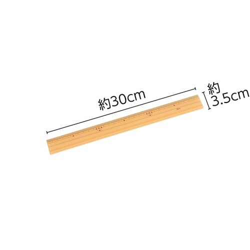 プラ製ものさし 30cm 片目盛り みぞ