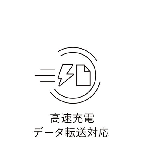 PD ライトニングケーブル 1m ホワイ