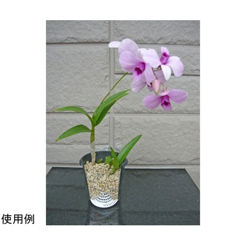 百花爛漫 小 1セット(10個入) KS