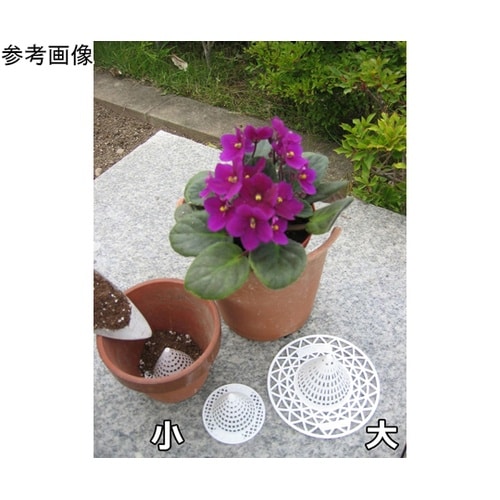 百花爛漫 小 1セット(10個入) KS