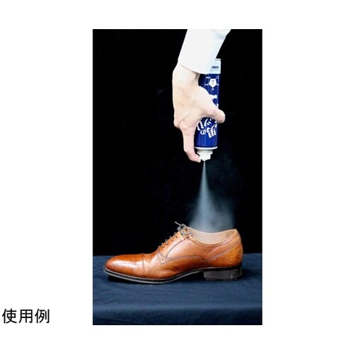 男のガッツリ 除菌・消臭 靴スプレー ジ