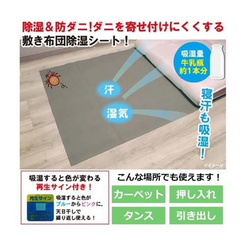 除湿&防ダニ敷きシート110番グレー F
