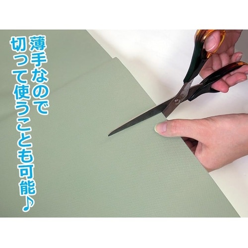 除湿&防ダニ敷きシート110番グレー F