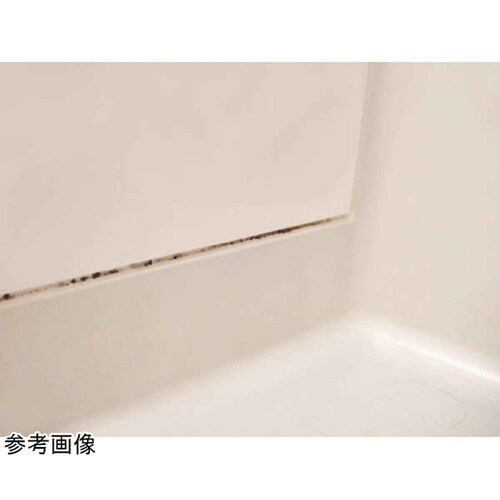 カビ隠し ゴムパッキン タイル目地 修正