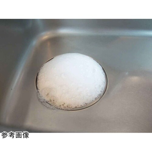 排水口洗浄剤 かんたん 泡パック 排水口