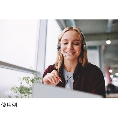 快適ヘッドセット 両耳 USBタイプ ユ