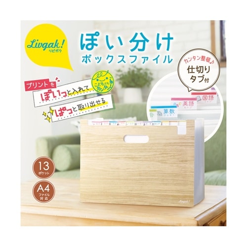 収納 リビガク ポイ分けBOXファイル