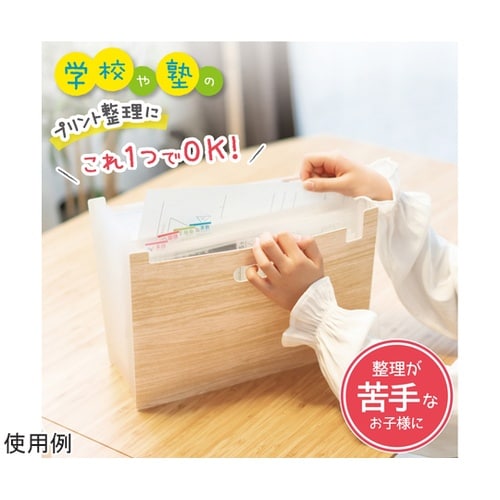 収納 リビガク ポイ分けBOXファイル