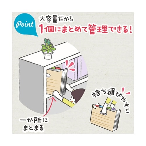 収納 リビガク ポイ分けBOXファイル