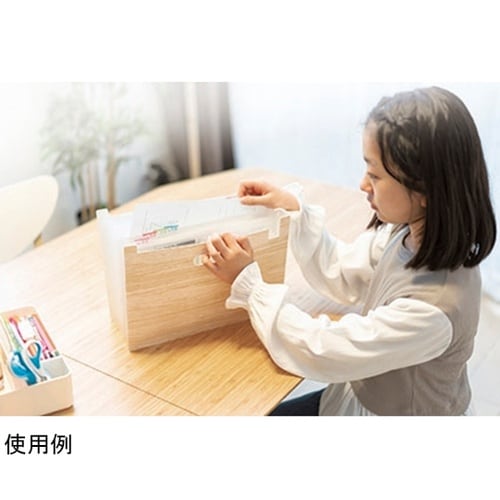 収納 リビガク ポイ分けBOXファイル