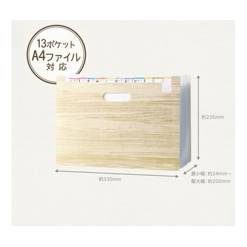 収納 リビガク ポイ分けBOXファイル