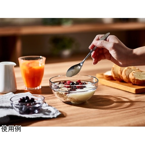 スプーン 17.5cm TSUBAME