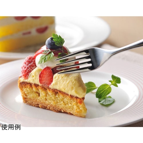 フォーク 17.5cm TSUBAME