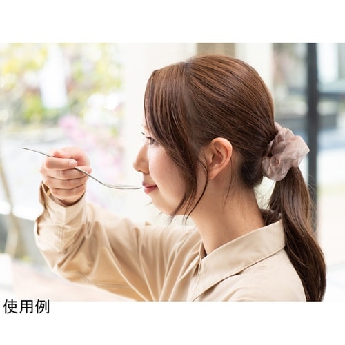 フォーク 17.5cm TSUBAME