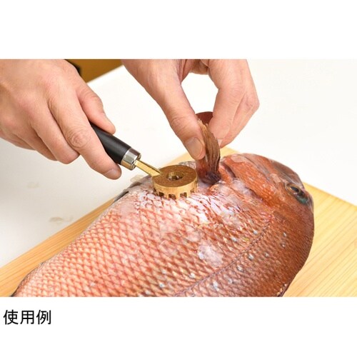 ウロコ取り 大人の焼魚 鱗とり 日本製